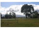41 Dixon Road, Gisborne VIC 3437