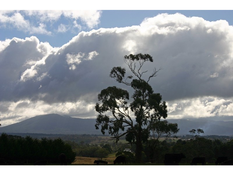 41 Dixon Road, Gisborne VIC 3437