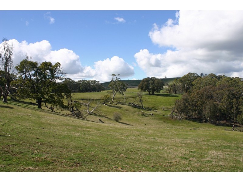 917 Bacchus Marsh Road, Bullengarook VIC 3437