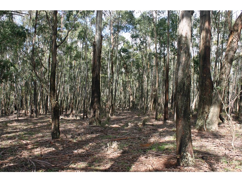 917 Bacchus Marsh Road, Bullengarook VIC 3437