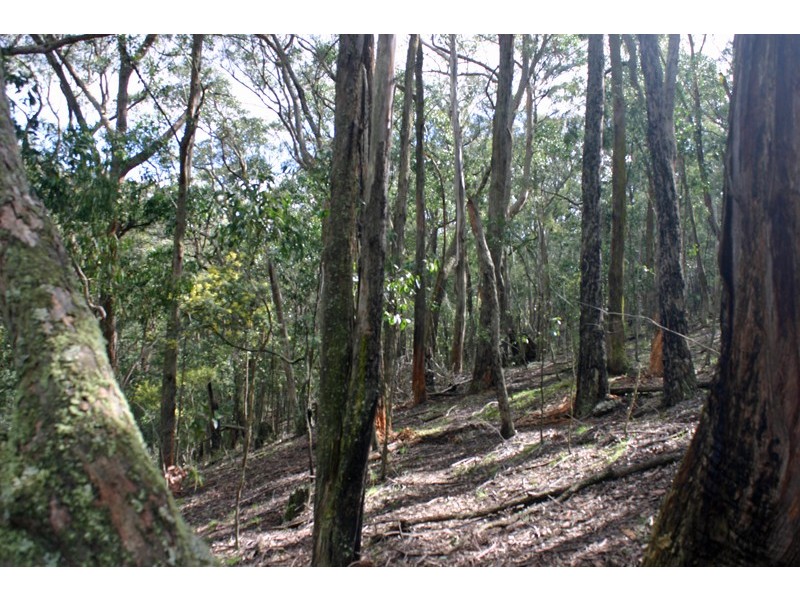 917 Bacchus Marsh Road, Bullengarook VIC 3437