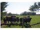 Lot 1 883 Bacchus Marsh Road, Bullengarook VIC 3437