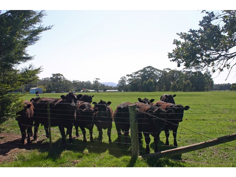 Lot 1 883 Bacchus Marsh Road, Bullengarook VIC 3437