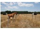 829 Bacchus Marsh Road, Bullengarook VIC 3437
