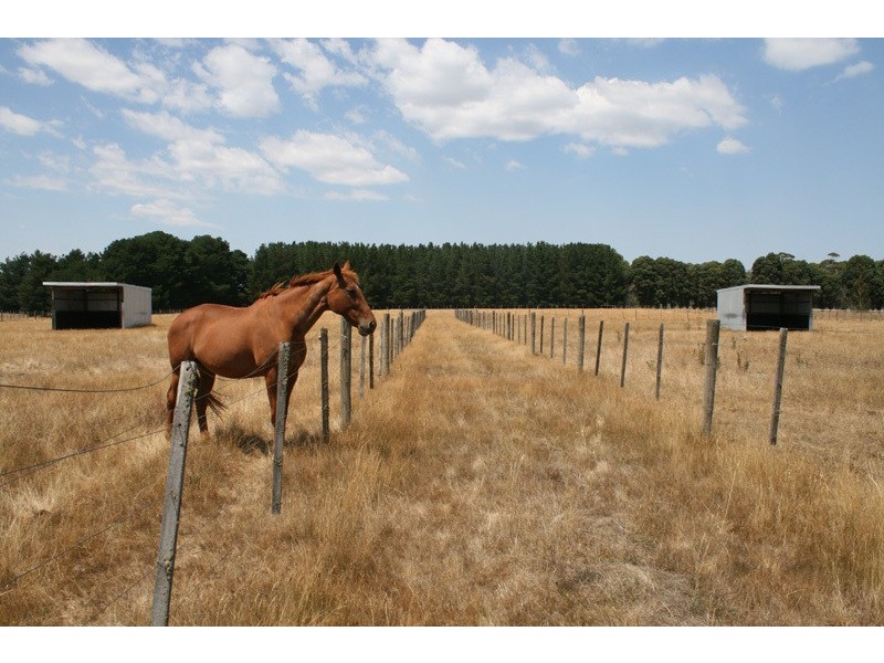 829 Bacchus Marsh Road, Bullengarook VIC 3437