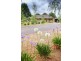 829 Bacchus Marsh Road, Bullengarook VIC 3437