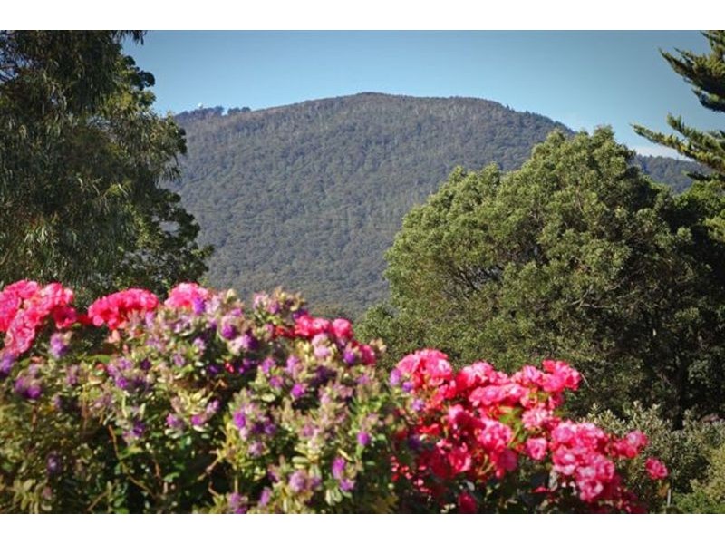 86 Greene Street, Macedon VIC 3440