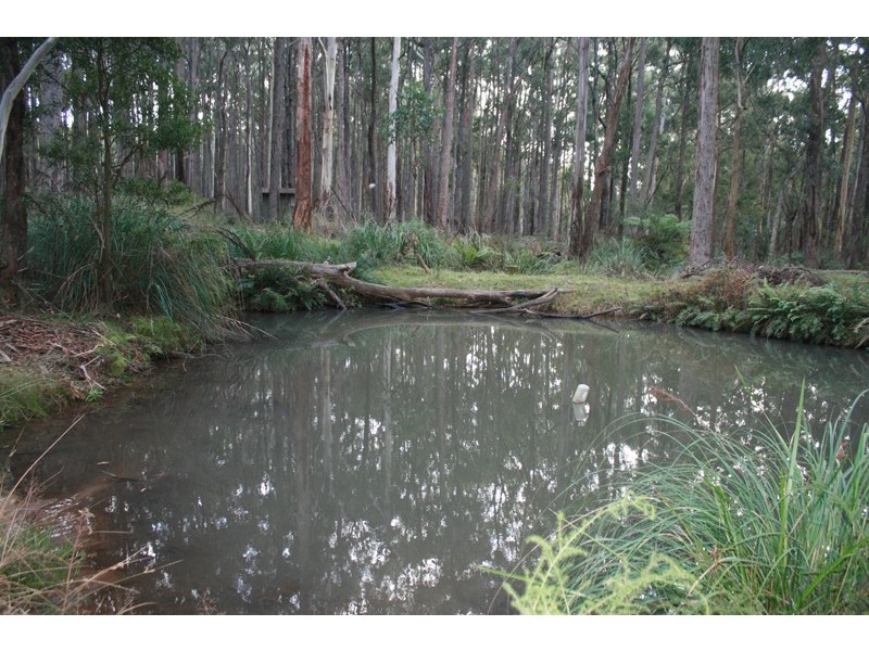 20 Fern Road, Trentham VIC 3458