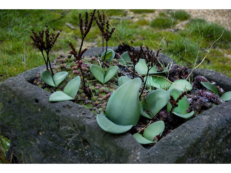 39 Bald Hill Road, Kyneton VIC 3444