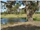 81 Porkers Lane, Woodend VIC 3442