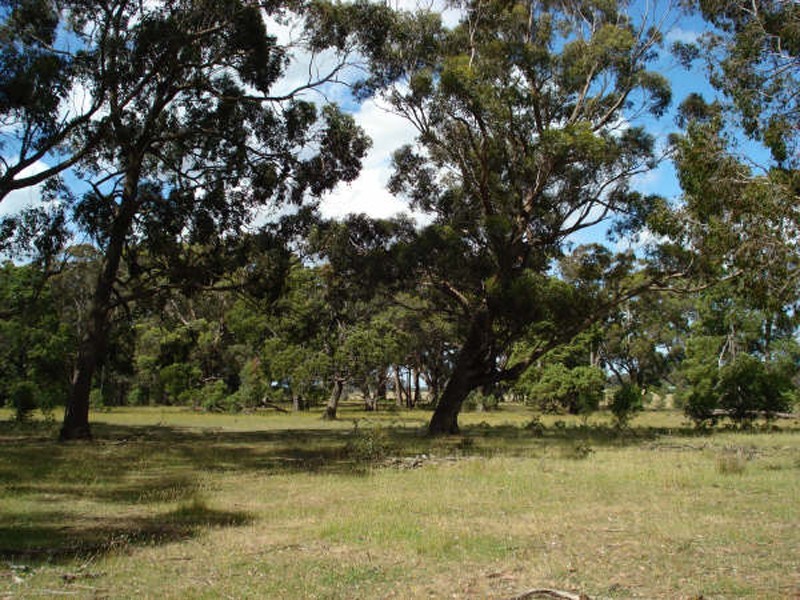 81 Porkers Lane, Woodend VIC 3442