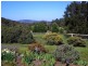 100 Glen Drouitt Road, Mount Macedon VIC 3441