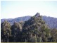 100 Glen Drouitt Road, Mount Macedon VIC 3441