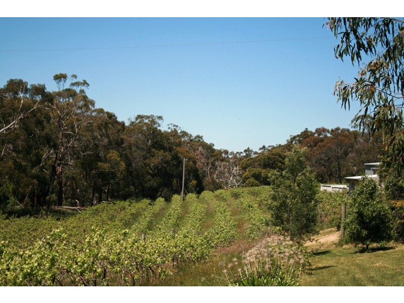 288 Gap Road, Riddells Creek VIC 3431