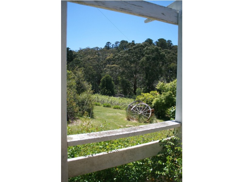 288 Gap Road, Riddells Creek VIC 3431