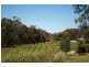 288 Gap Road, Riddells Creek VIC 3431