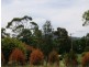 10-12 Greene Street, Macedon VIC 3440