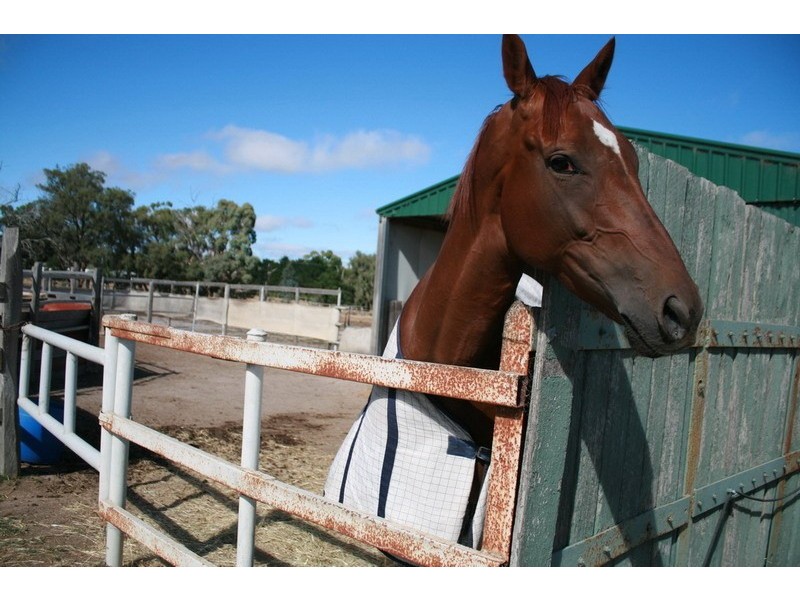 Lot 1 / 47 Verekers Lane, Kyneton VIC 3444