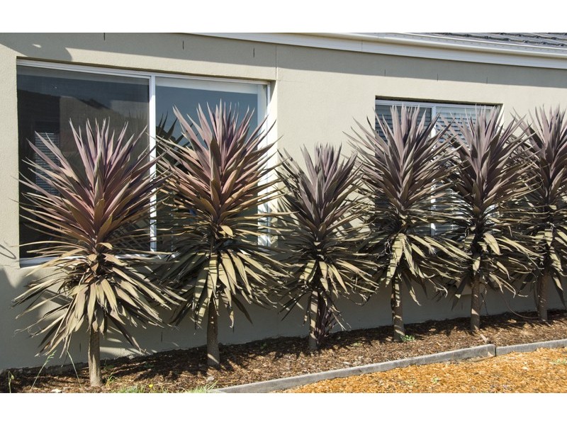 39 Chessy Park Drive, New Gisborne VIC 3438