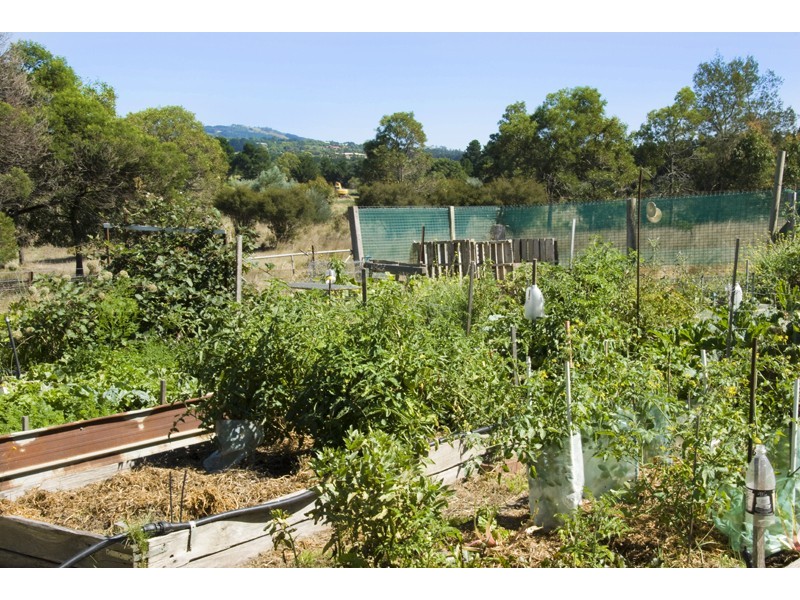 39 Hillview Rise, Gisborne South VIC 3437