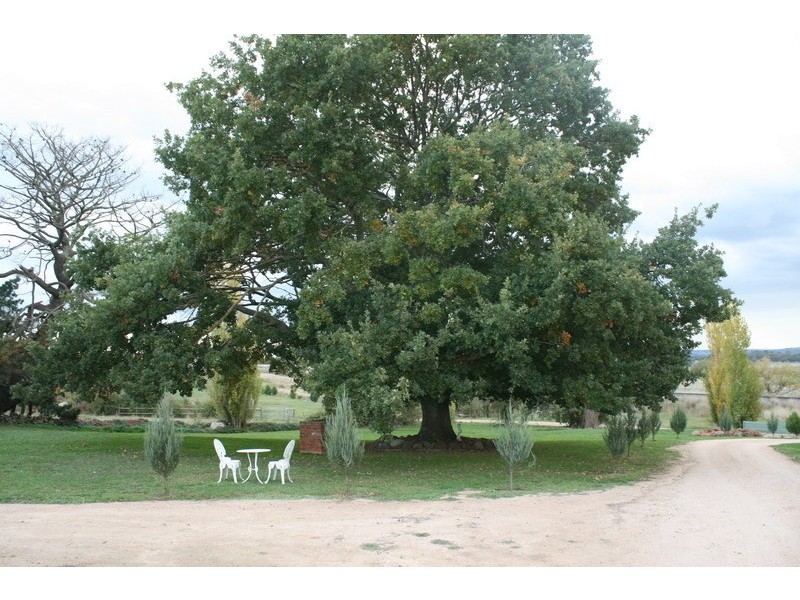 31 Hunter Street, Malmsbury VIC 3446