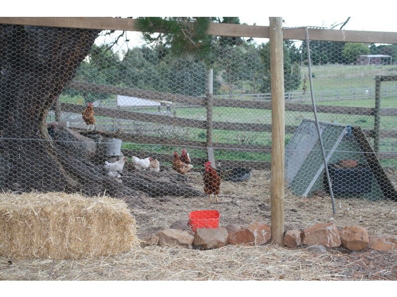 31 Hunter Street, Malmsbury VIC 3446