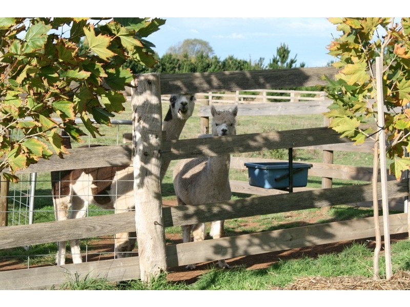 31 Hunter Street, Malmsbury VIC 3446