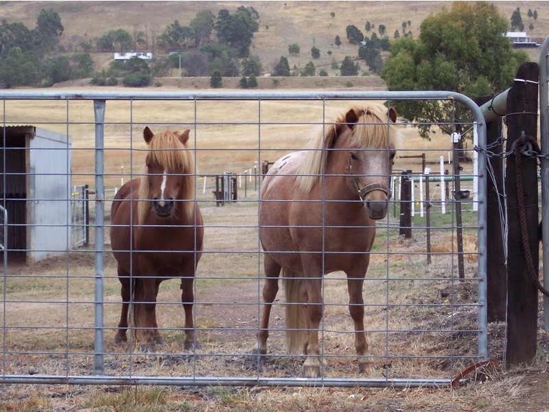77 Fraser Road, Lancefield VIC 3435