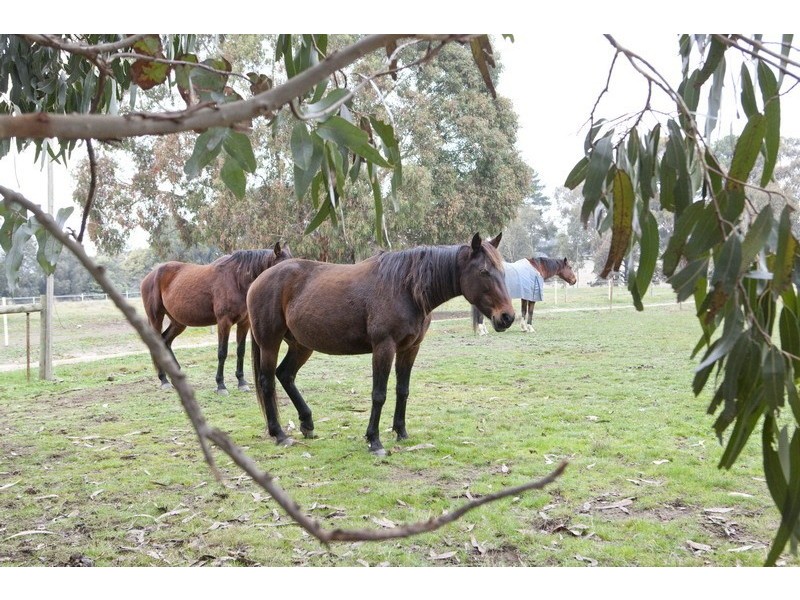 77 Fraser Road, Lancefield VIC 3435