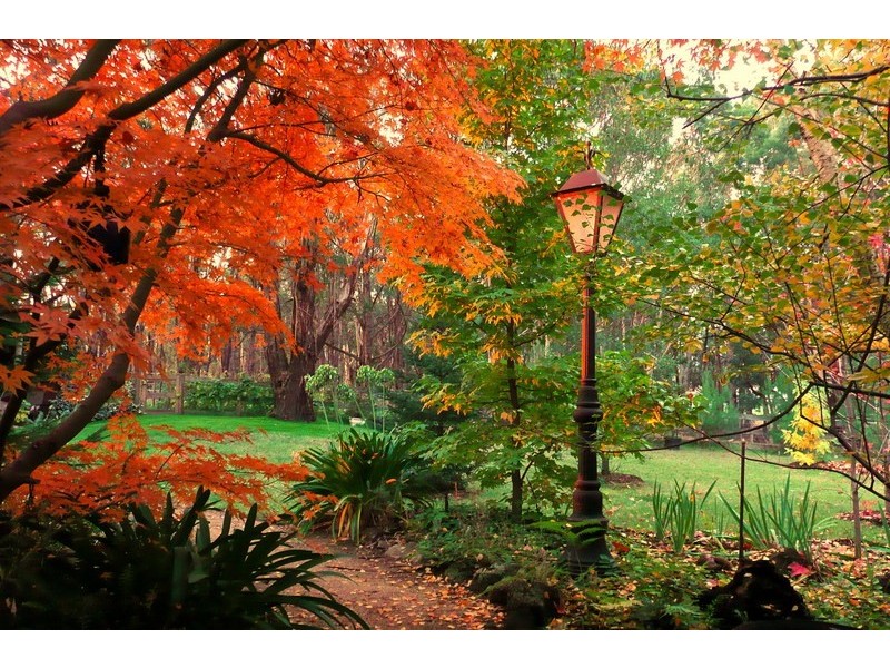 5 Cedar Lane, Mount Macedon VIC 3441