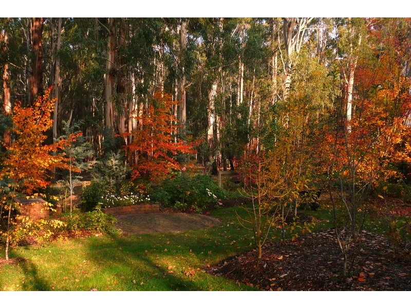 5 Cedar Lane, Mount Macedon VIC 3441