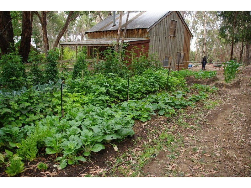 5 Cedar Lane, Mount Macedon VIC 3441