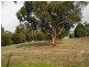 10 Greene Street, Macedon VIC 3440
