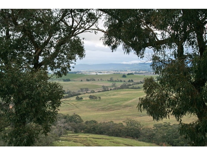 134 Springfield Road, Romsey VIC 3434