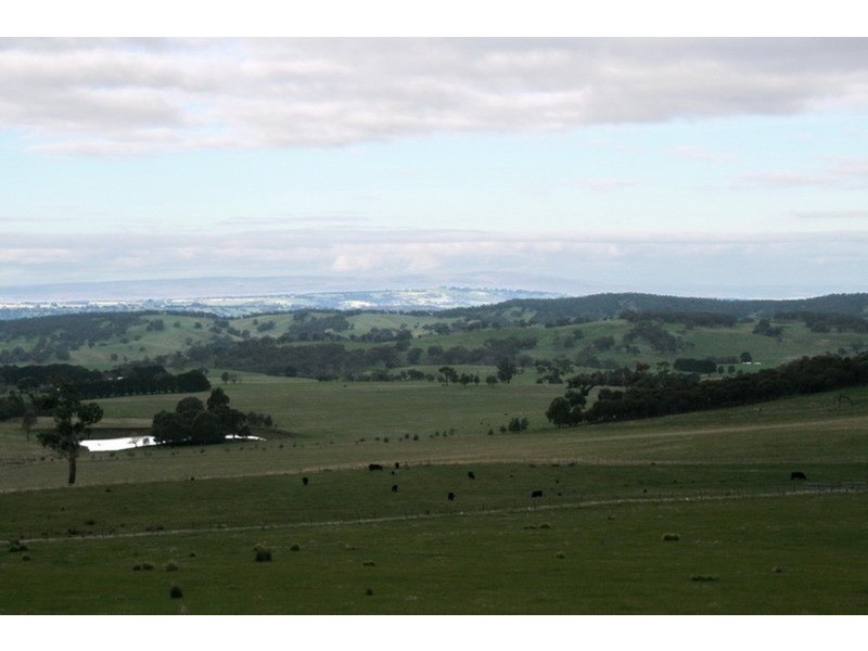 134 Springfield Road, Romsey VIC 3434