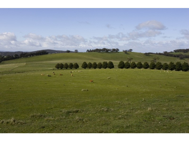 134 Springfield Road, Romsey VIC 3434