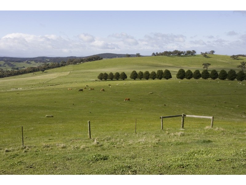 134 Springfield Road, Romsey VIC 3434