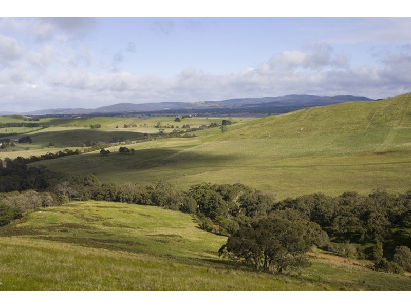 134 Springfield Road, Romsey VIC 3434