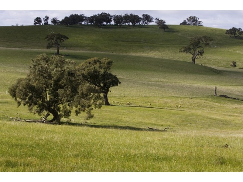 134 Springfield Road, Romsey VIC 3434