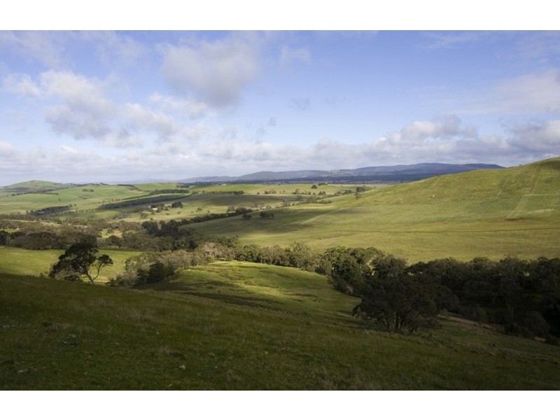 134 Springfield Road, Romsey VIC 3434