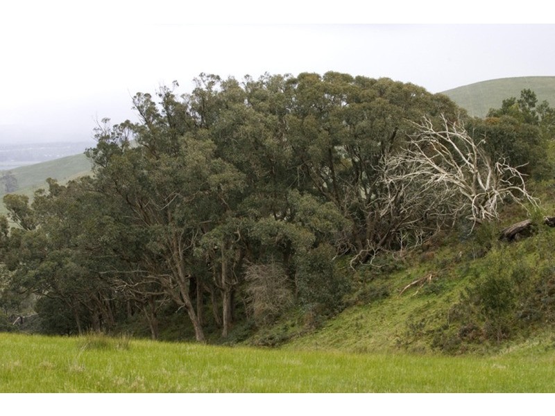 134 Springfield Road, Romsey VIC 3434