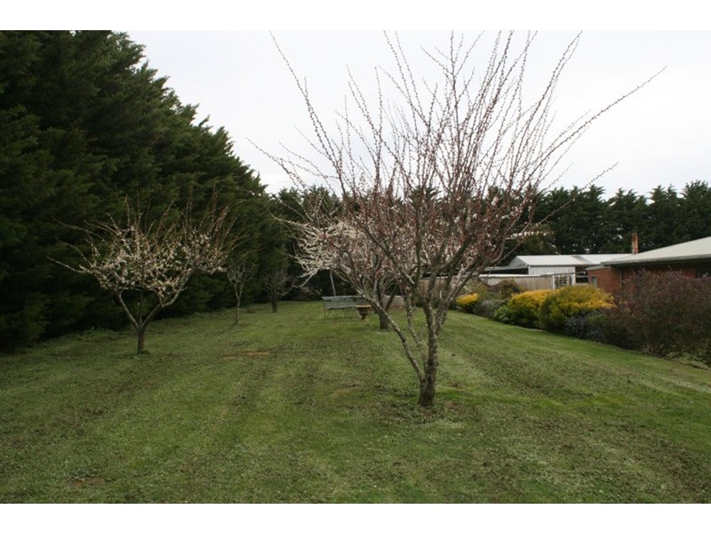 376 Parks Road, Lancefield VIC 3435