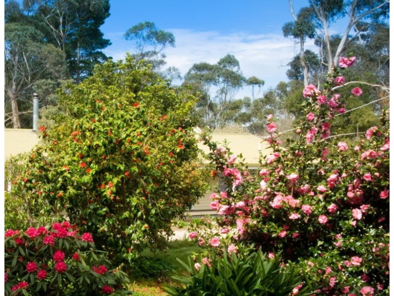 8 Zig Zag Road, Mount Macedon VIC 3441