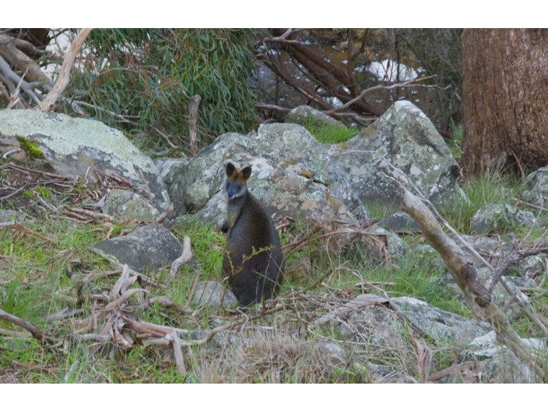 1261 Kilmore / Lancefield Road, Lancefield VIC 3435