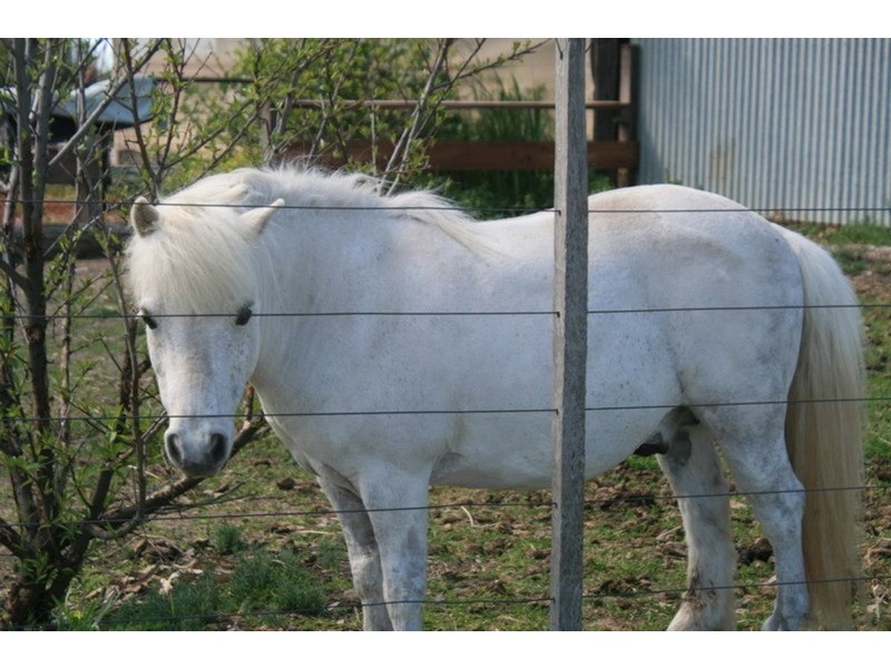 544 Matthews Road, Myall VIC 3579