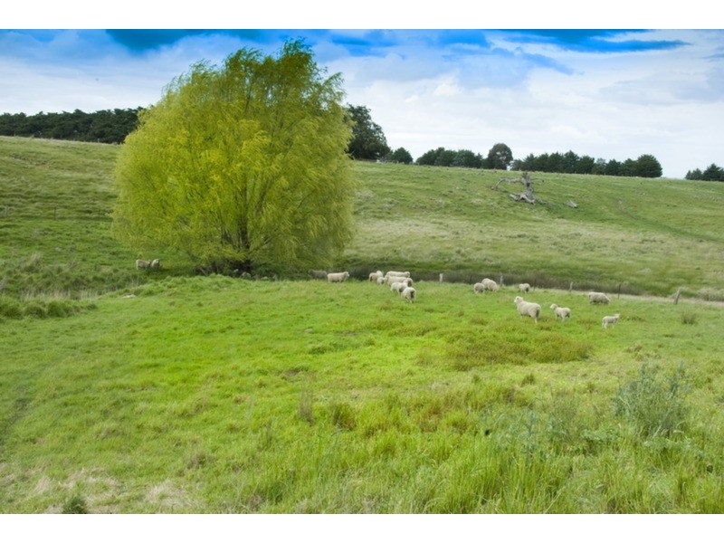 2060 Melbourne – Lancefield Road, Monegeetta VIC 3433