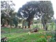 32 Haires Road, Bullengarook VIC 3437