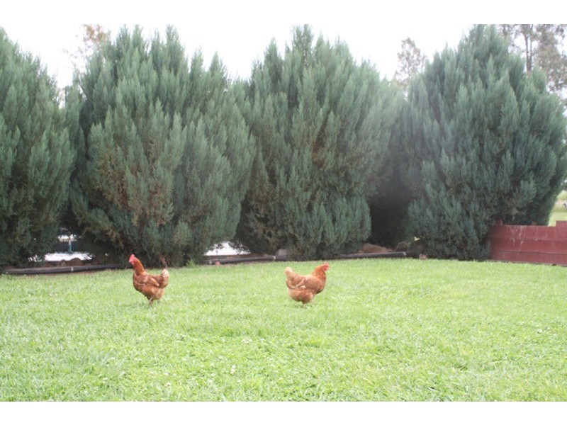 1686 Kerang Koondrook Road, Koondrook VIC 3580