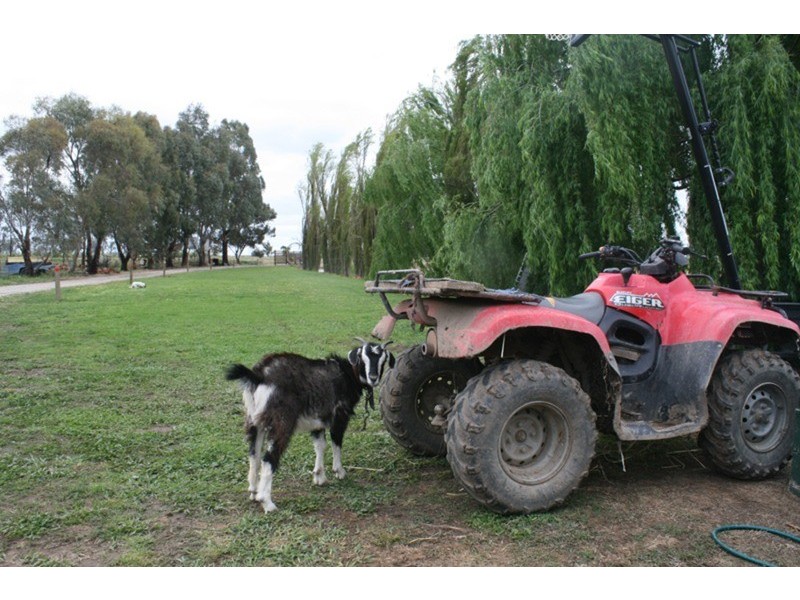 1686 Kerang Koondrook Road, Koondrook VIC 3580