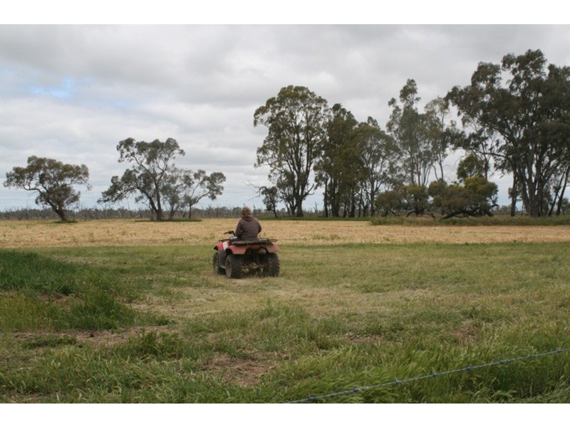 1686 Kerang Koondrook Road, Koondrook VIC 3580